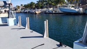 A marina with boats docked, a clear sky, and palm trees in the background. - Coo Coo's Nest ~ Key Largo canal front 2/3 with pool (Key Largo)