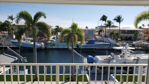 A marina with boats docked, a pool, and palm trees. - Coo Coo's Nest ~ Key Largo canal front 2/3 with pool (Key Largo)