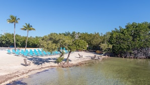 Une plage avec une eau cristalline, des palmiers et des chaises longues bleues.