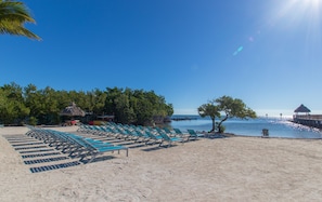 A beach with rows of blue lounge chairs, a thatched-roof structure, and a wooden building by the water. - Ocean Point Retreat ~ Immaculate Ocean Views (Tavernier)