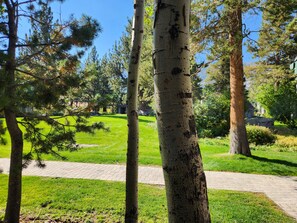 Property grounds - Snowcreek Resort Vacation Rental 603 (Mammoth Lakes)