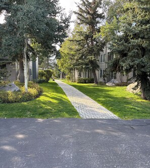 Una calle residencial con vereda, casas y árboles.