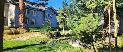 Àrea exterior de l'allotjament