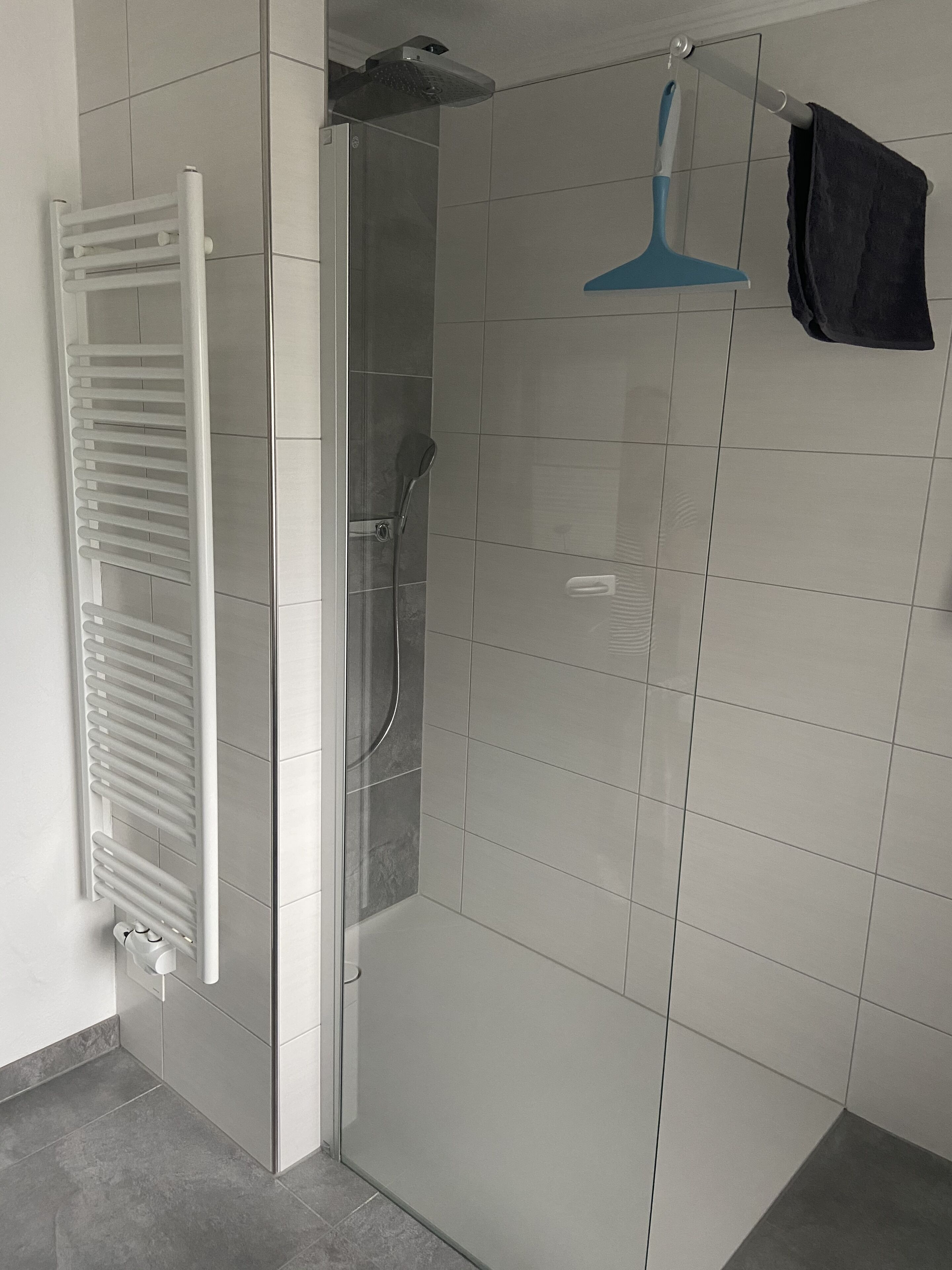 Une salle de bain moderne avec une douche à parois de verre, un porte-serviettes blanc et un outil de nettoyage bleu.