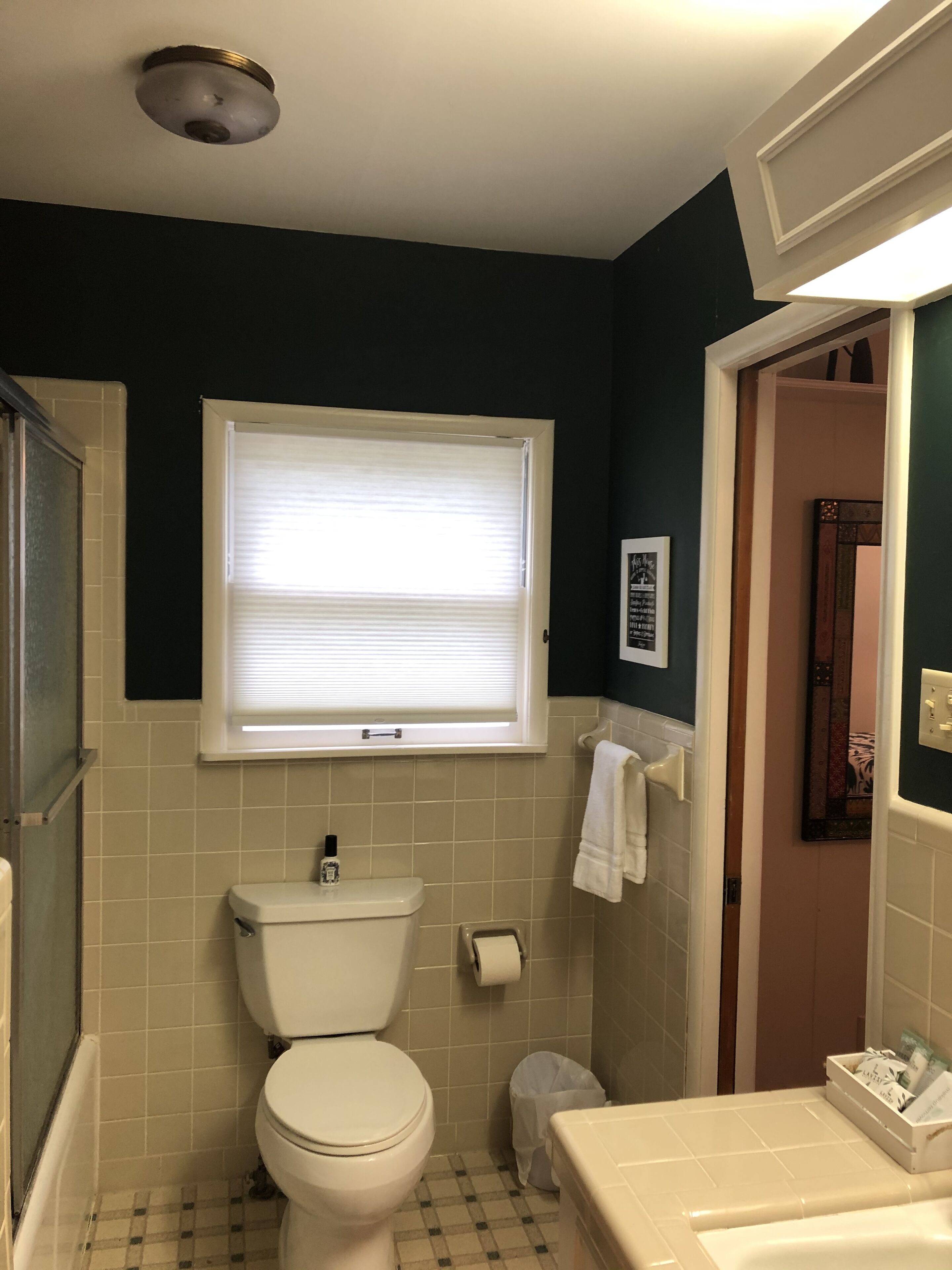 A bathroom with a toilet, sink, and window.