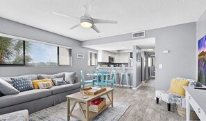 Televisio, DVD-soitin