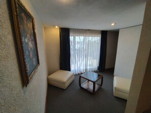 Standard Room | Desk, free WiFi - Hotel Universitario UAEH (Mineral de la Reforma)