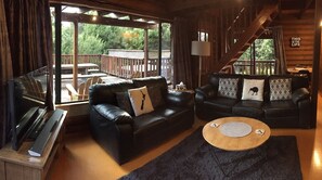 Televisor, llar de foc, videojocs i reproductor de DVD 