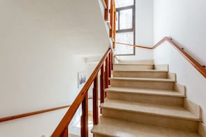A staircase with wooden handrails and beige steps.