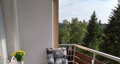 Franks Fewo Altenau | Harz 2-4 persons | Wlan