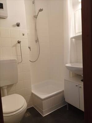 Shower, hair dryer, soap, toilet paper