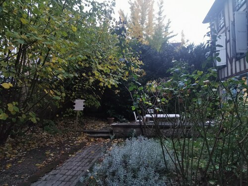 Les Cieux de la Cathédrale