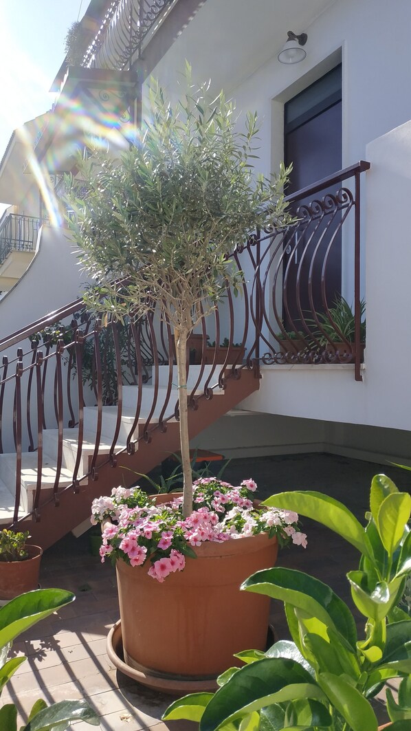 Terrace/patio - Il Cantico B&B (Capurso)