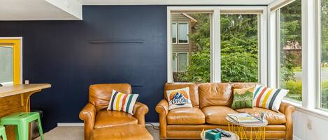 TV, fireplace, books