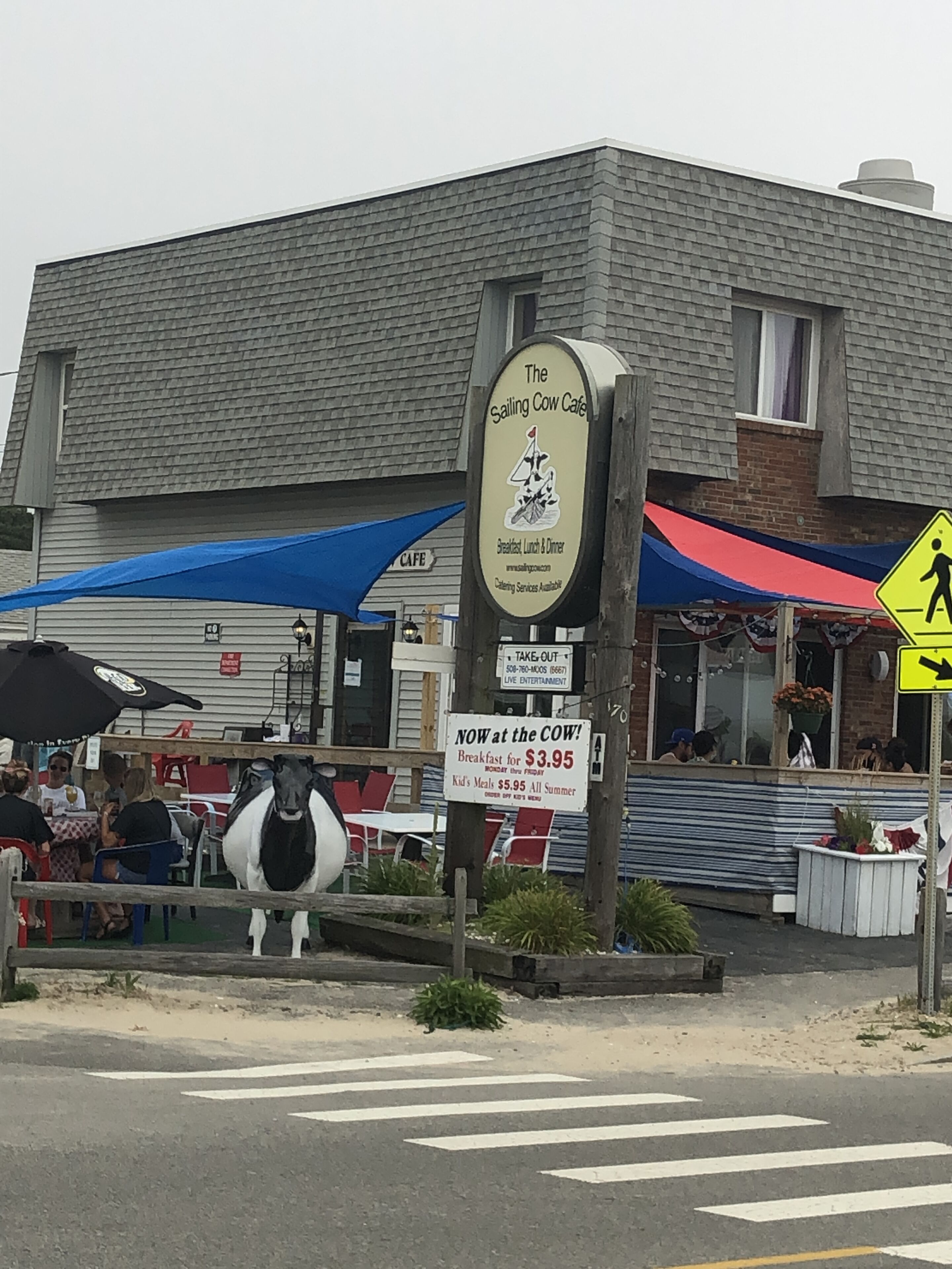 A street view with a cafe named 'The Sailing Cow Cafe' offering breakfast, lunch, and dinner.