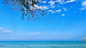 En la playa, camastros y toallas de playa 