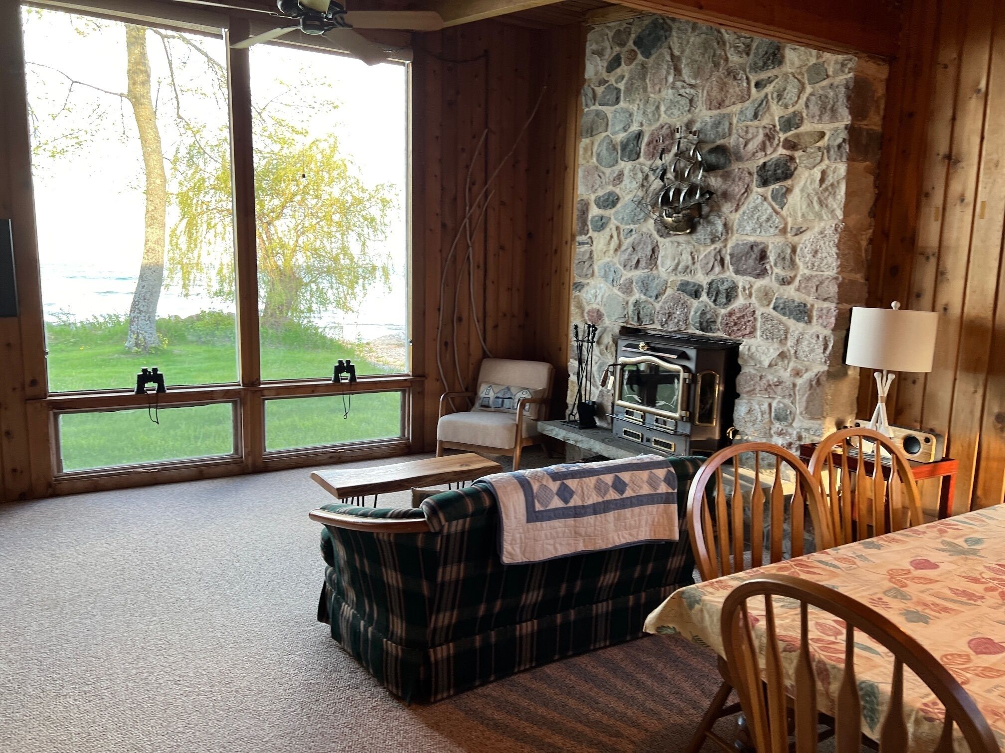 Smart TV, chimenea, reproductor de DVD y libros 