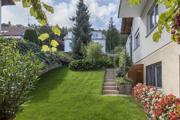 Un jardín cuidado con césped, un sendero de madera y diversas plantas y arbustos.