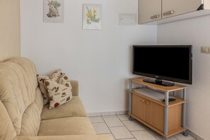 Televisión 