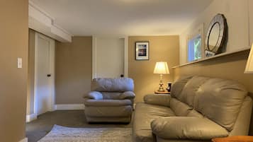 Smart TV, computer monitors