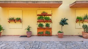 Facciata di un edificio con diverse piante in vasi disposte su mensole e a terra.