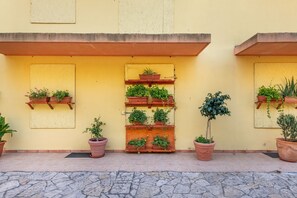 المنطقة المحيطة بالمنشأة