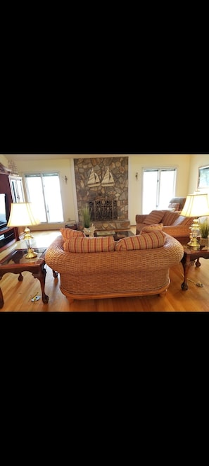 TV, fireplace, DVD player, books