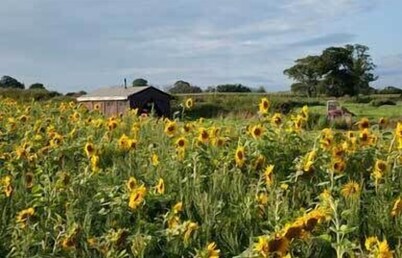 컬리지 팜 - 캔바스 로지