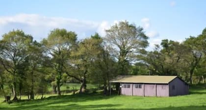 La Ferme de Penquelen Huella - Tente Un Lit au Pré 6P