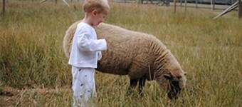 Canfields Farm - Canvas Lodge for 10