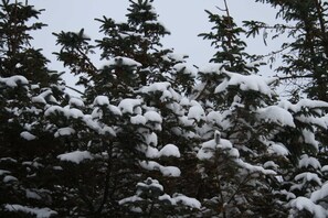 Terrain de l’hébergement 