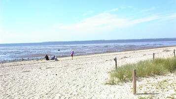 Playa en los alrededores