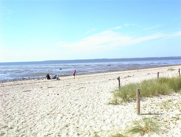 Una playa cerca