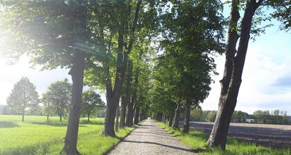 Ferienwohnung Justus - Pension Marina