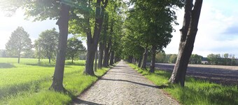 Ferienwohnung Justus - Pension Marina