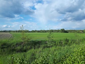 Botón de imagen sin clasificar, 3 de 16