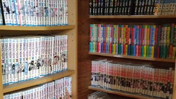 Een boekenplank vol met manga-boeken.