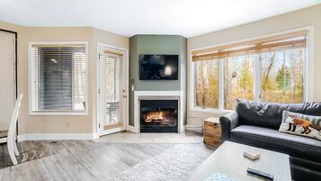 TV, fireplace, DVD player, video library
