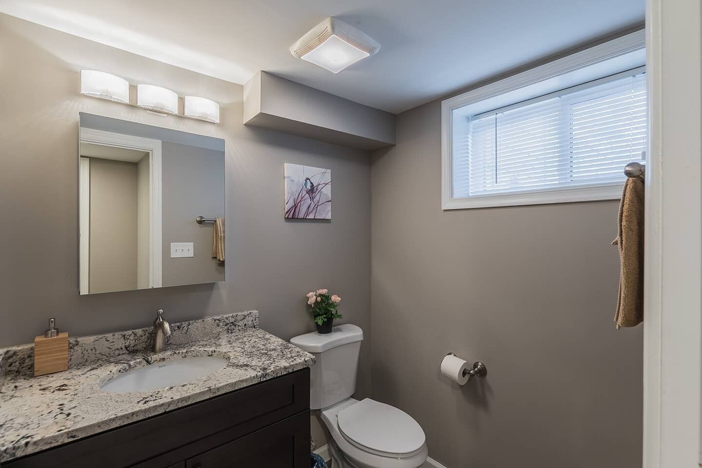A bathroom with a granite countertop, a toilet, a wall-mounted mirror, a window with blinds, and a small potted plant.