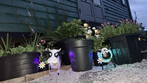 A house with a dark exterior, a window, and a door. There are black planters with plants and flowers in front of the house. - Shepherds Hut With Hot Tub, North Wales, Anglesey (Llanfairpwllgwyngyll)