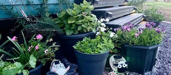 Shepherds Hut With Hot Tub, North Wales, Anglesey
