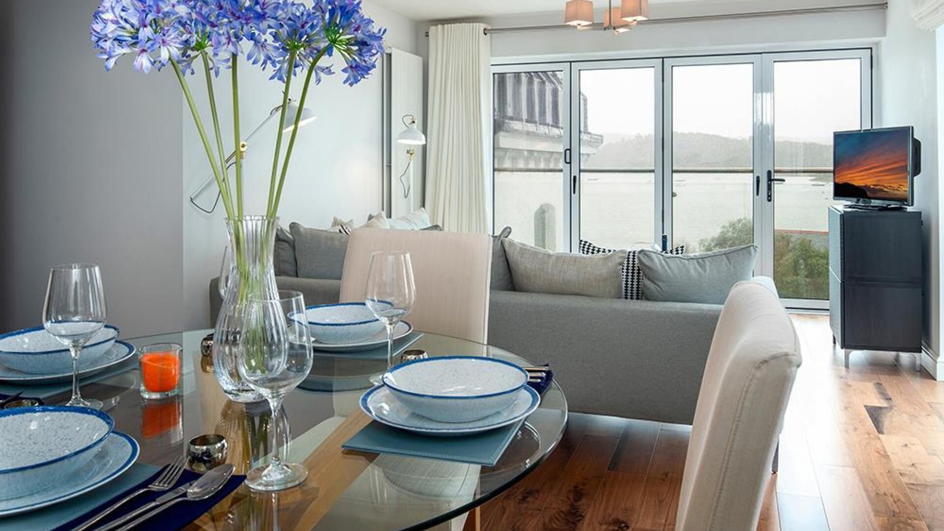 Flat-screen TV, DVD player