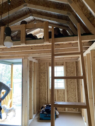 3 Cabins in the Woods