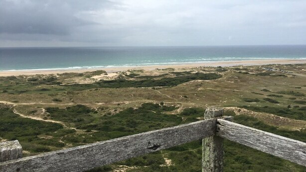 A coastal landscape with a sandy beach and grassy terrain.