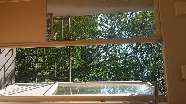 A room with a skylight and a window overlooking a tree-filled area.