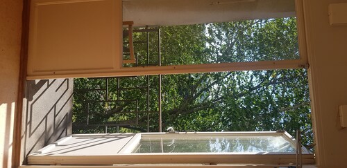 Nice room with bed and bathroom, I can provide massage for you