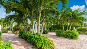 A paved pathway lined with palm trees and green shrubs, leading to a building with a light green facade. - FANTASY ISLAND LIFE (Jensen Beach)