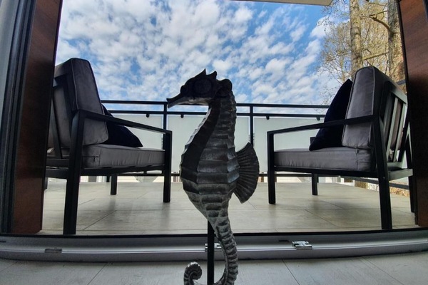 Standard Apartment | Terrace/patio