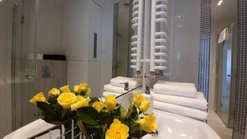 Apartment | Bathroom | Shower, hair dryer, towels, soap