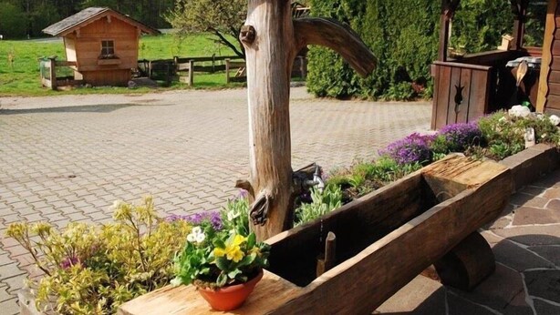 Una estructura rústica de madera con un banco y macetas, ubicada en un área empavedada con una cabaña de madera y follaje de fondo.